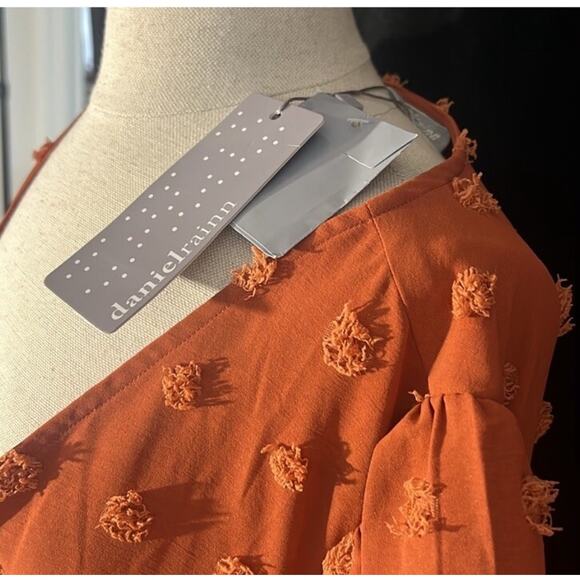 Daniel Rainn Ellen Swiss-Dot Maxi Dress, Burn Orange Pockets! XXL flounce sleeve - Picture 4 of 6